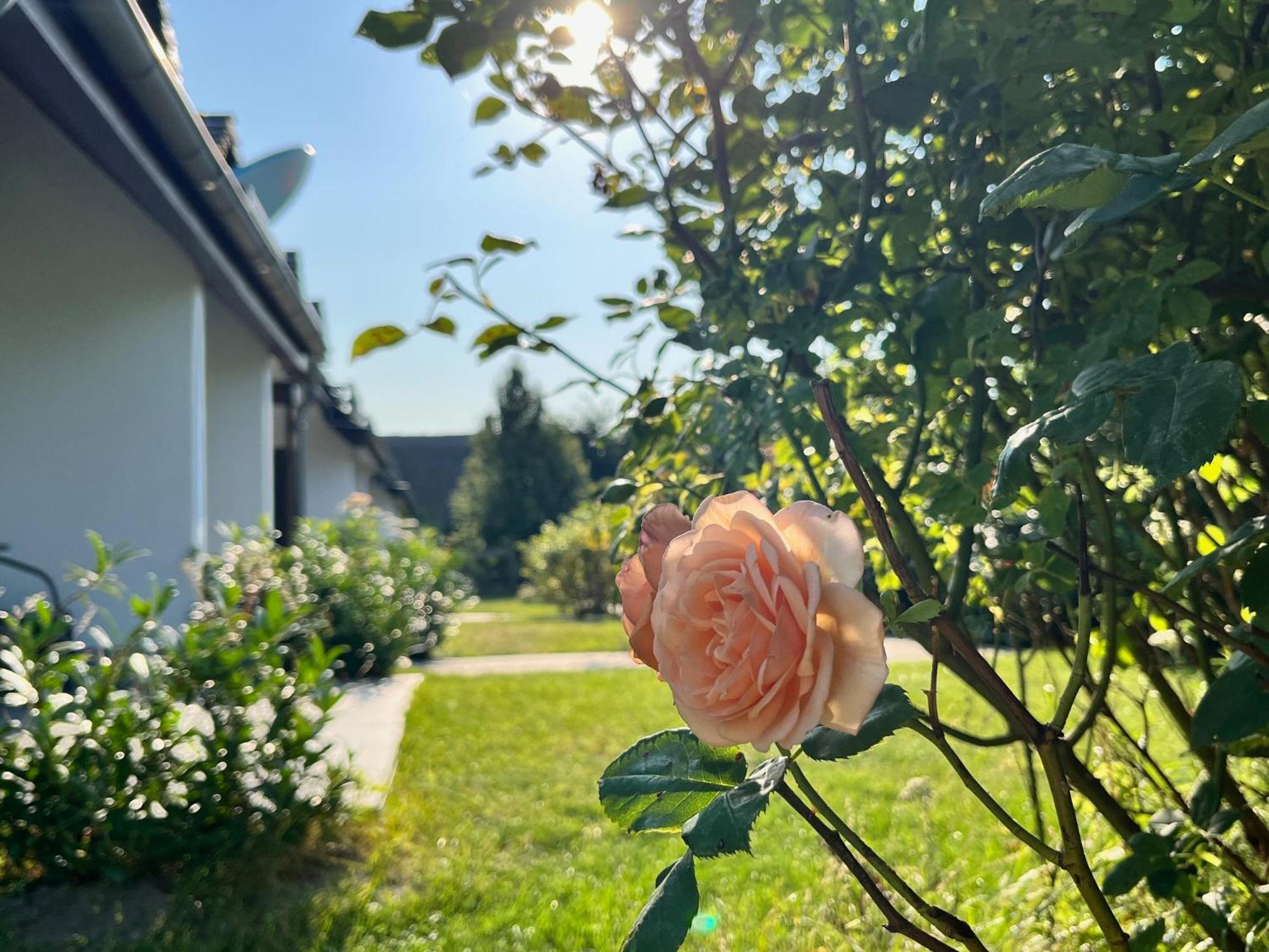 Rosenhof Am Plauer Garni Mit E-lade Saeule Hotel *